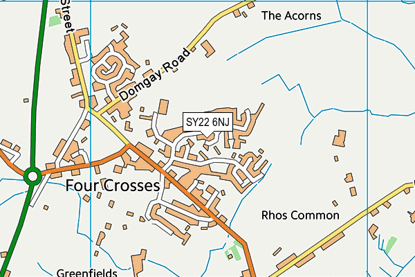 SY22 6NJ map - OS VectorMap District (Ordnance Survey) SY22 6NJ map - OS VectorMap District (Ordnance Survey)