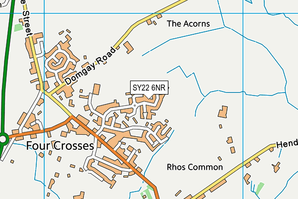 SY22 6NR map - OS VectorMap District (Ordnance Survey) SY22 6NR map - OS VectorMap District (Ordnance Survey)