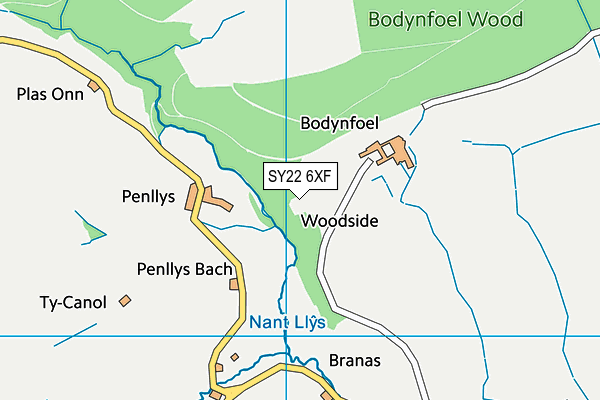 SY22 6XF map - OS VectorMap District (Ordnance Survey) SY22 6XF map - OS VectorMap District (Ordnance Survey)