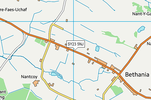 SY23 5NJ map - OS VectorMap District (Ordnance Survey) SY23 5NJ map - OS VectorMap District (Ordnance Survey)