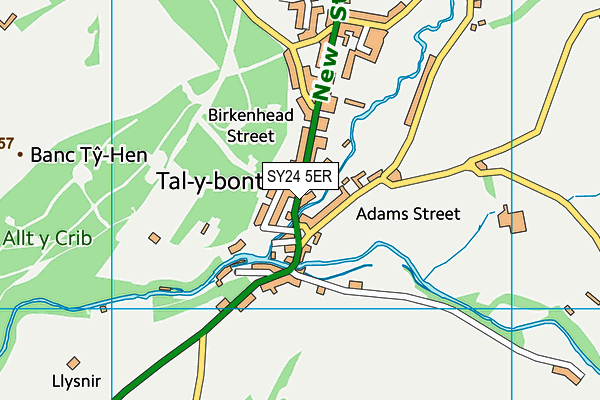 SY24 5ER map - OS VectorMap District (Ordnance Survey) SY24 5ER map - OS VectorMap District (Ordnance Survey)