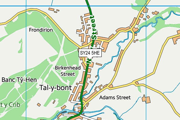SY24 5HE map - OS VectorMap District (Ordnance Survey) SY24 5HE map - OS VectorMap District (Ordnance Survey)