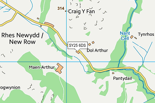 SY25 6DS map - OS VectorMap District (Ordnance Survey) SY25 6DS map - OS VectorMap District (Ordnance Survey)
