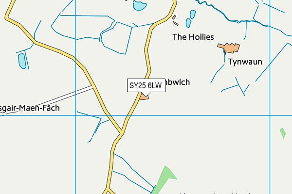 SY25 6LW map - OS VectorMap District (Ordnance Survey)
