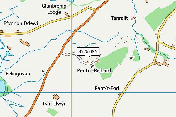 SY25 6NY map - OS VectorMap District (Ordnance Survey) SY25 6NY map - OS VectorMap District (Ordnance Survey)
