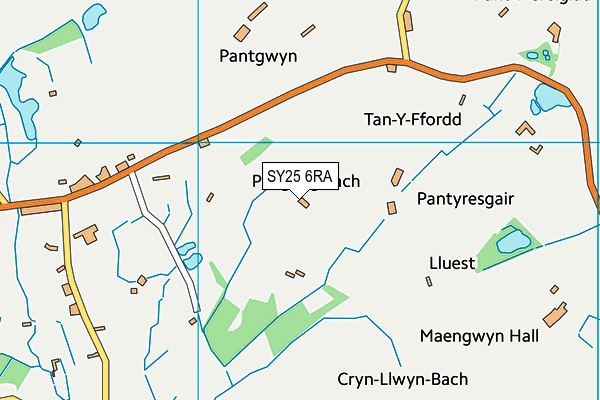 SY25 6RA map - OS VectorMap District (Ordnance Survey) SY25 6RA map - OS VectorMap District (Ordnance Survey)