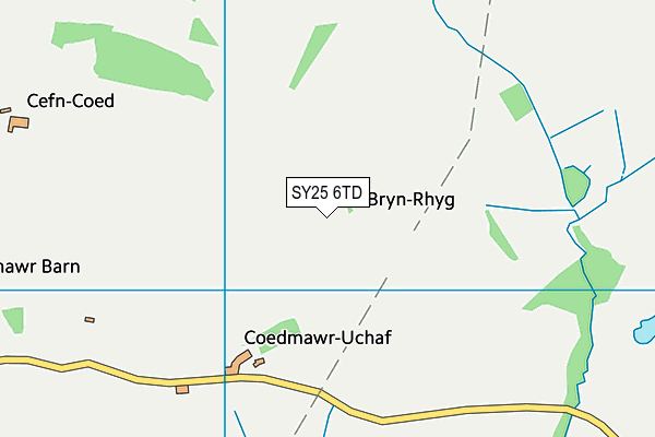 SY25 6TD map - OS VectorMap District (Ordnance Survey)