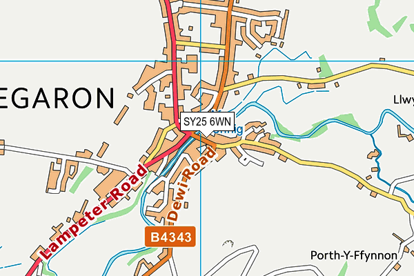 SY25 6WN map - OS VectorMap District (Ordnance Survey) SY25 6WN map - OS VectorMap District (Ordnance Survey)