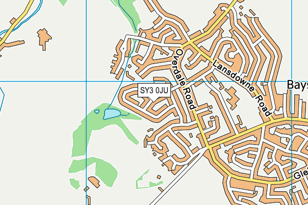 SY3 0JU map - OS VectorMap District (Ordnance Survey) SY3 0JU map - OS VectorMap District (Ordnance Survey)