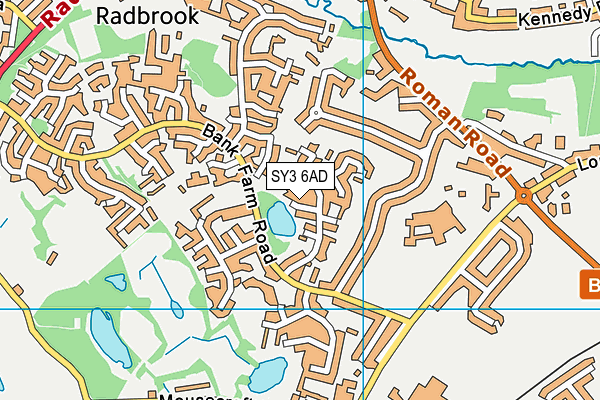 SY3 6AD map - OS VectorMap District (Ordnance Survey) SY3 6AD map - OS VectorMap District (Ordnance Survey)