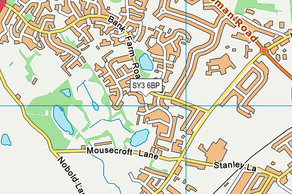 SY3 6BP map - OS VectorMap District (Ordnance Survey) SY3 6BP map - OS VectorMap District (Ordnance Survey)