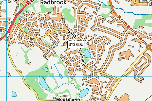 SY3 6DU map - OS VectorMap District (Ordnance Survey) SY3 6DU map - OS VectorMap District (Ordnance Survey)
