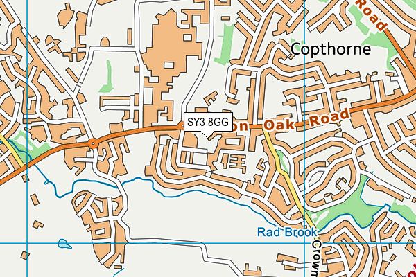 SY3 8GG map - OS VectorMap District (Ordnance Survey) SY3 8GG map - OS VectorMap District (Ordnance Survey)