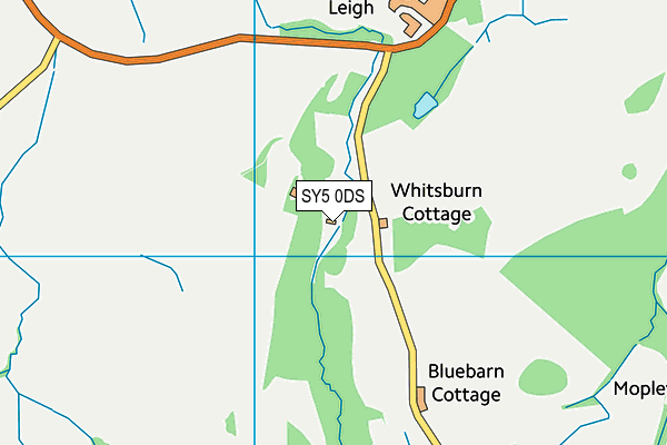 SY5 0DS map - OS VectorMap District (Ordnance Survey) SY5 0DS map - OS VectorMap District (Ordnance Survey)