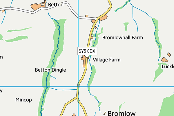SY5 0DX map - OS VectorMap District (Ordnance Survey) SY5 0DX map - OS VectorMap District (Ordnance Survey)