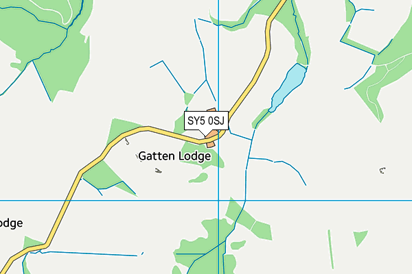 SY5 0SJ map - OS VectorMap District (Ordnance Survey) SY5 0SJ map - OS VectorMap District (Ordnance Survey)