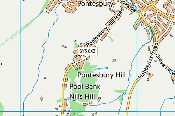 SY5 0XZ map - OS VectorMap District (Ordnance Survey) SY5 0XZ map - OS VectorMap District (Ordnance Survey)