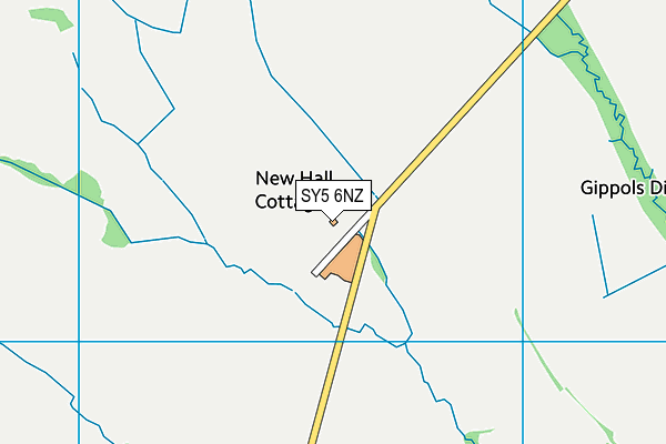 SY5 6NZ map - OS VectorMap District (Ordnance Survey) SY5 6NZ map - OS VectorMap District (Ordnance Survey)