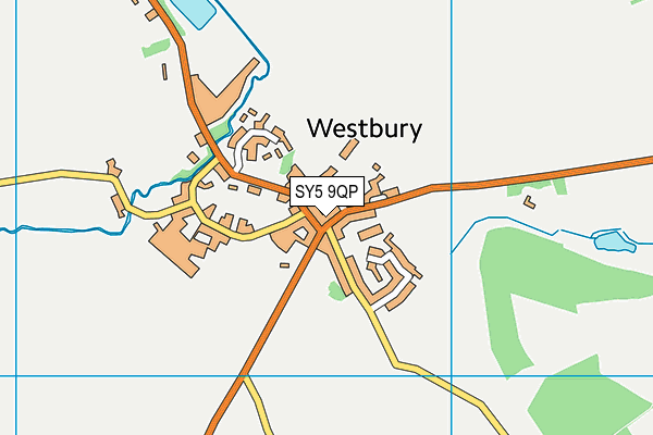 SY5 9QP map - OS VectorMap District (Ordnance Survey) SY5 9QP map - OS VectorMap District (Ordnance Survey)