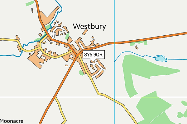 SY5 9QR map - OS VectorMap District (Ordnance Survey) SY5 9QR map - OS VectorMap District (Ordnance Survey)