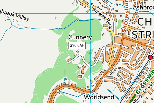 SY6 6AF map - OS VectorMap District (Ordnance Survey)