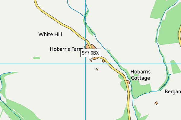 SY7 0BX map - OS VectorMap District (Ordnance Survey) SY7 0BX map - OS VectorMap District (Ordnance Survey)