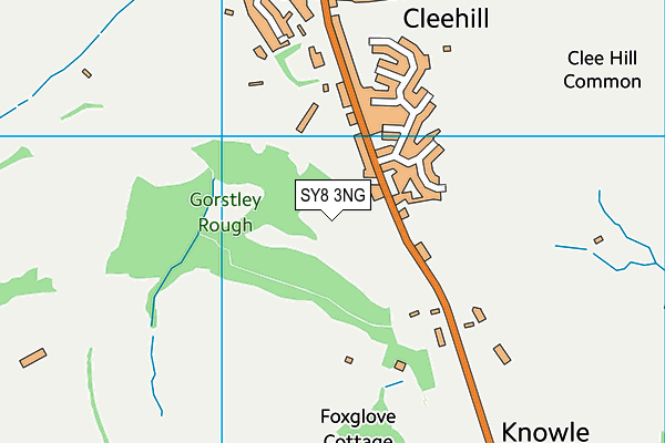 SY8 3NG map - OS VectorMap District (Ordnance Survey) SY8 3NG map - OS VectorMap District (Ordnance Survey)