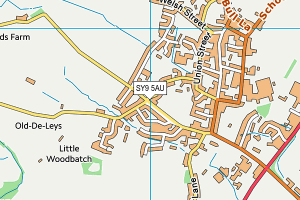 SY9 5AU map - OS VectorMap District (Ordnance Survey) SY9 5AU map - OS VectorMap District (Ordnance Survey)