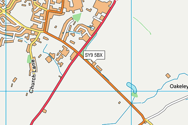 SY9 5BX map - OS VectorMap District (Ordnance Survey) SY9 5BX map - OS VectorMap District (Ordnance Survey)