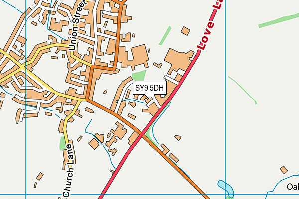 SY9 5DH map - OS VectorMap District (Ordnance Survey) SY9 5DH map - OS VectorMap District (Ordnance Survey)