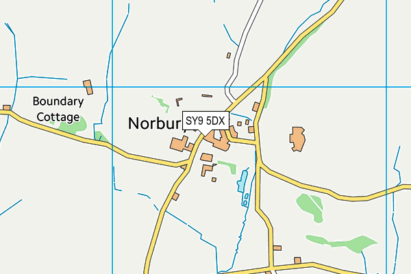 SY9 5DX map - OS VectorMap District (Ordnance Survey) SY9 5DX map - OS VectorMap District (Ordnance Survey)