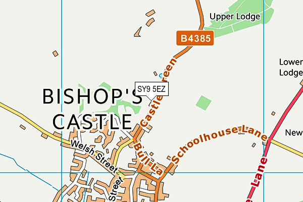 SY9 5EZ map - OS VectorMap District (Ordnance Survey)