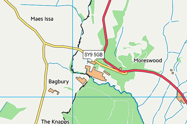 SY9 5GB map - OS VectorMap District (Ordnance Survey) SY9 5GB map - OS VectorMap District (Ordnance Survey)