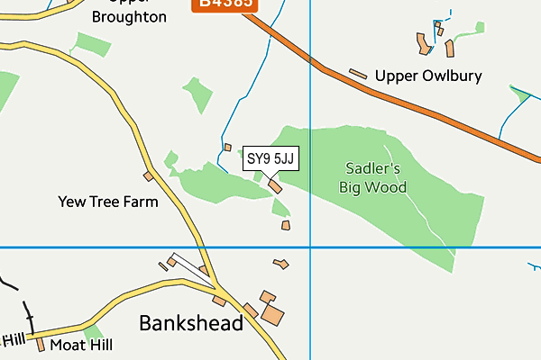 SY9 5JJ map - OS VectorMap District (Ordnance Survey) SY9 5JJ map - OS VectorMap District (Ordnance Survey)