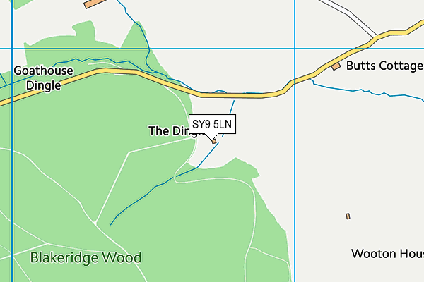 SY9 5LN map - OS VectorMap District (Ordnance Survey)