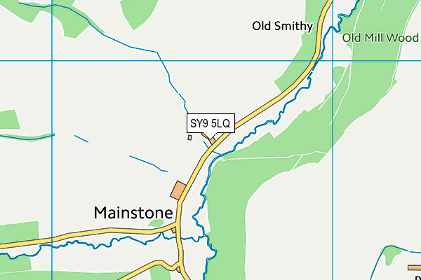 SY9 5LQ map - OS VectorMap District (Ordnance Survey) SY9 5LQ map - OS VectorMap District (Ordnance Survey)