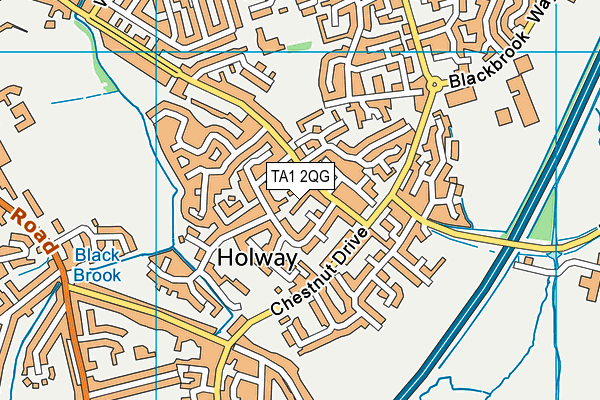 TA1 2QG map - OS VectorMap District (Ordnance Survey) TA1 2QG map - OS VectorMap District (Ordnance Survey)