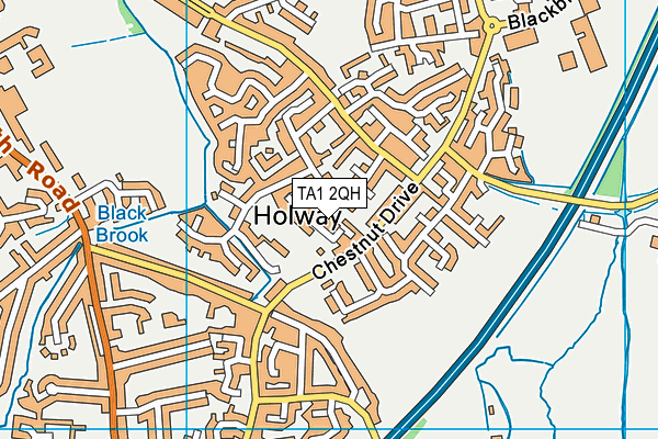 TA1 2QH map - OS VectorMap District (Ordnance Survey) TA1 2QH map - OS VectorMap District (Ordnance Survey)