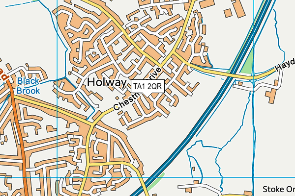 TA1 2QR map - OS VectorMap District (Ordnance Survey)