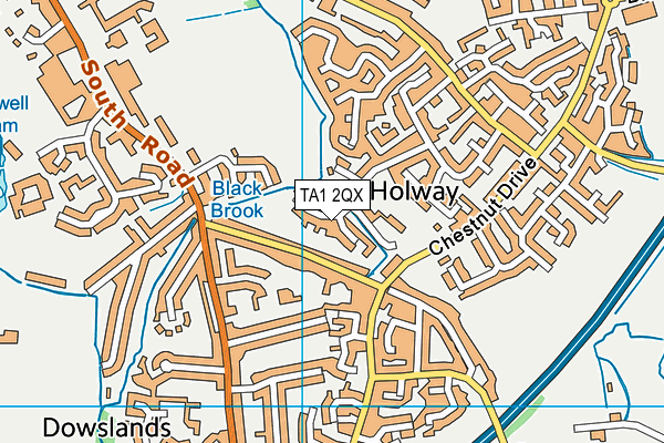 TA1 2QX map - OS VectorMap District (Ordnance Survey) TA1 2QX map - OS VectorMap District (Ordnance Survey)