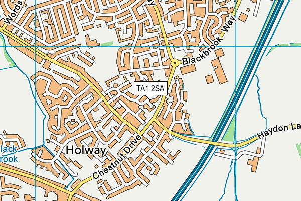 TA1 2SA map - OS VectorMap District (Ordnance Survey) TA1 2SA map - OS VectorMap District (Ordnance Survey)