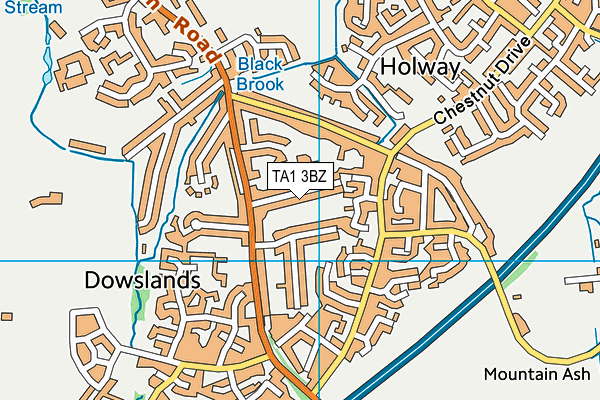 TA1 3BZ map - OS VectorMap District (Ordnance Survey) TA1 3BZ map - OS VectorMap District (Ordnance Survey)