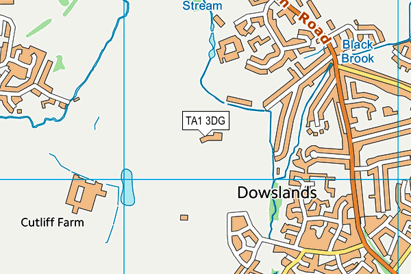 TA1 3DG map - OS VectorMap District (Ordnance Survey) TA1 3DG map - OS VectorMap District (Ordnance Survey)