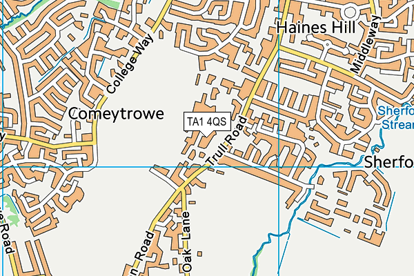 TA1 4QS map - OS VectorMap District (Ordnance Survey) TA1 4QS map - OS VectorMap District (Ordnance Survey)