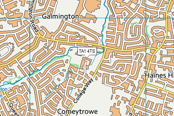 TA1 4TS map - OS VectorMap District (Ordnance Survey) TA1 4TS map - OS VectorMap District (Ordnance Survey)