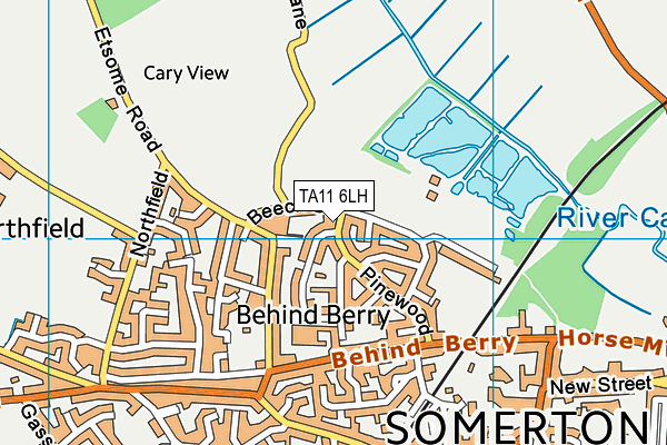TA11 6LH map - OS VectorMap District (Ordnance Survey) TA11 6LH map - OS VectorMap District (Ordnance Survey)