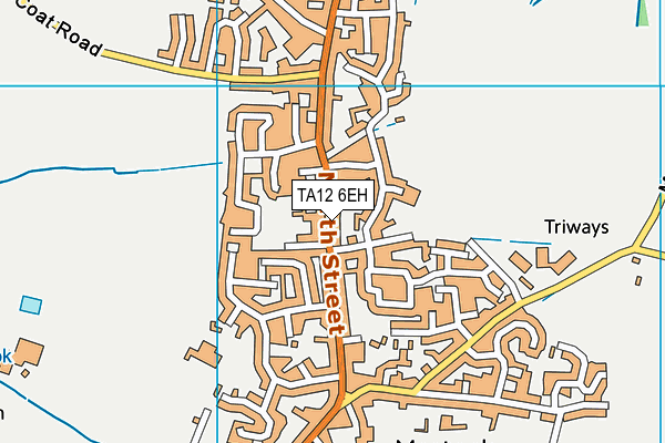 TA12 6EH map - OS VectorMap District (Ordnance Survey) TA12 6EH map - OS VectorMap District (Ordnance Survey)