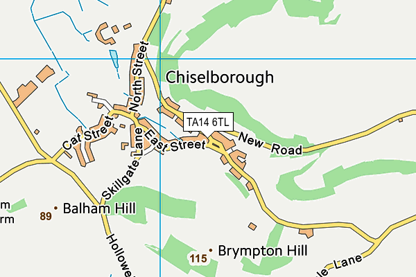 TA14 6TL map - OS VectorMap District (Ordnance Survey) TA14 6TL map - OS VectorMap District (Ordnance Survey)