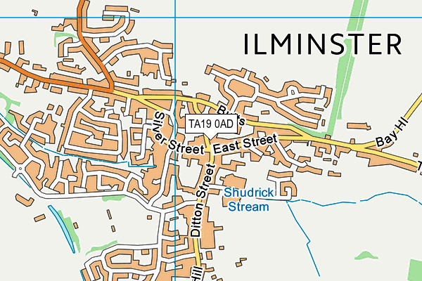 TA19 0AD map - OS VectorMap District (Ordnance Survey) TA19 0AD map - OS VectorMap District (Ordnance Survey)