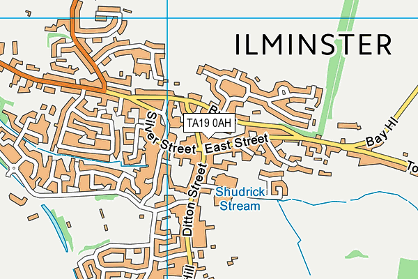 TA19 0AH map - OS VectorMap District (Ordnance Survey) TA19 0AH map - OS VectorMap District (Ordnance Survey)